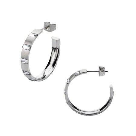 Stainless Steel Brushed Hoops with Baguette CZs - Click Image to Close